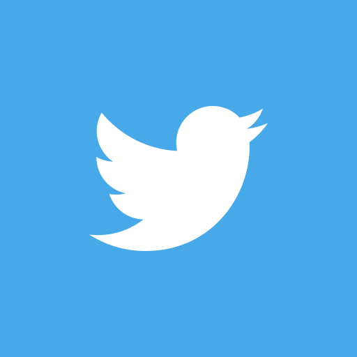 Twitter X Logo